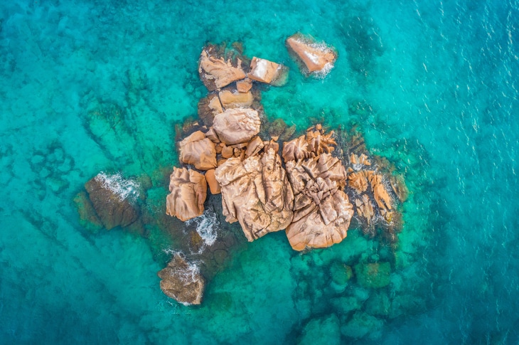 How Bamboo Manufacturing Supports Green Living